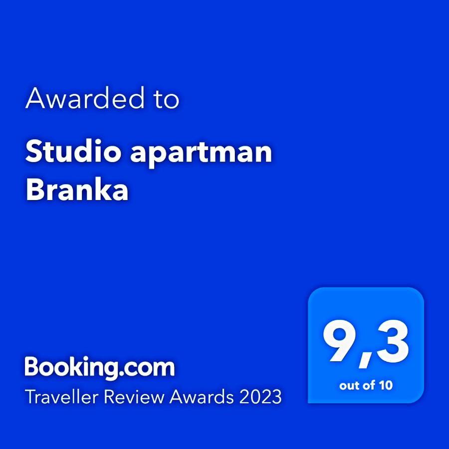 Studio Apartman Branka Лабин Екстер'єр фото