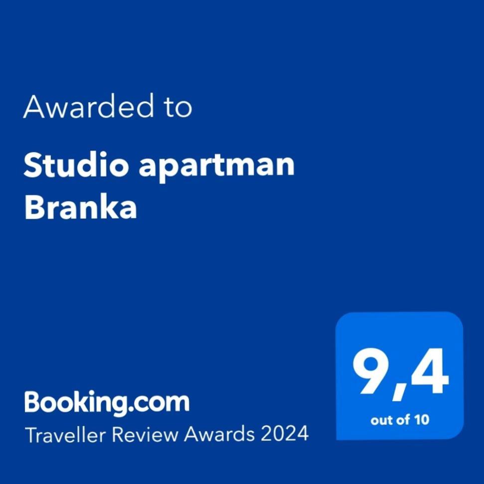 Studio Apartman Branka Лабин Екстер'єр фото